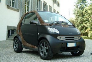 monaco elite smart fortwo 2