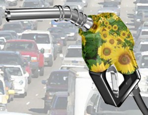 biofuel