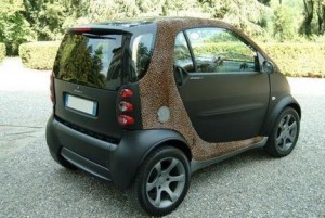 monaco elite smart fortwo 1